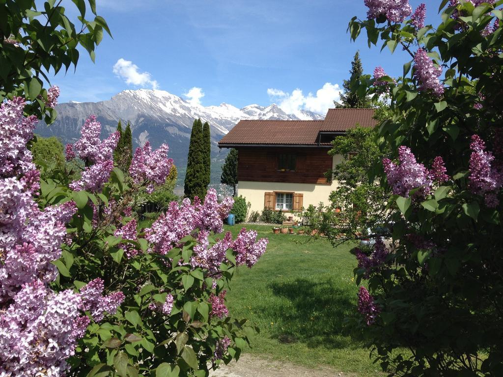 Domaine Bellevie Bnb Vex 객실 사진